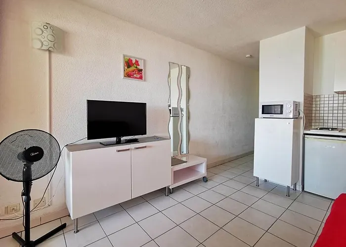 Apartman Au Lavandou Pour 4 Pers., Clim, Face A La - Fr-1-803-2 *